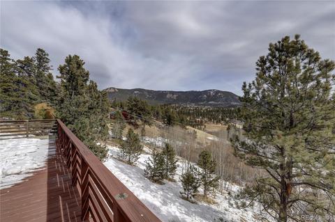 341 Bristlecone Cir, Bailey, CO 80421 photo 30