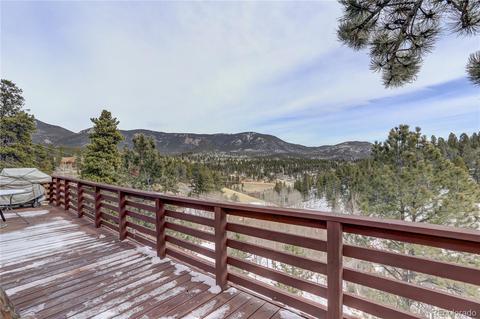 341 Bristlecone Cir, Bailey, CO 80421 photo 28