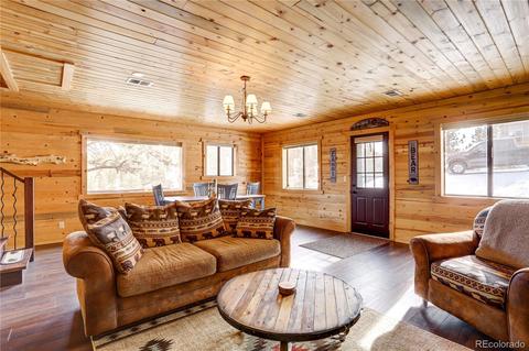 341 Bristlecone Cir, Bailey, CO 80421 photo 6