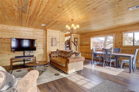 341 Bristlecone Cir, Bailey, CO 80421 photo 4