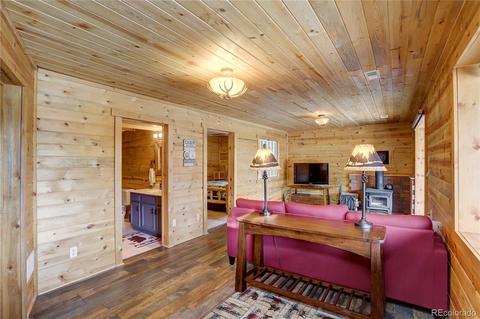 341 Bristlecone Cir, Bailey, CO 80421 photo 11