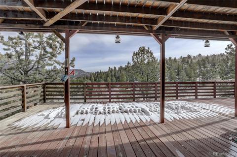 341 Bristlecone Cir, Bailey, CO 80421 photo 36