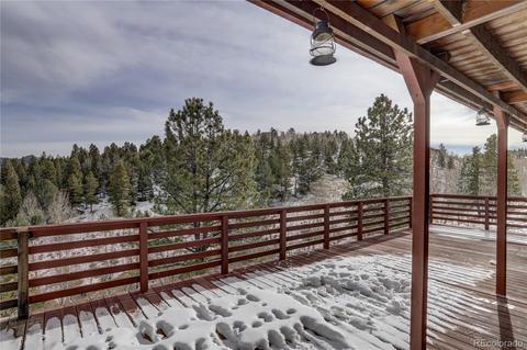 341 Bristlecone Cir, Bailey, CO 80421 photo 19