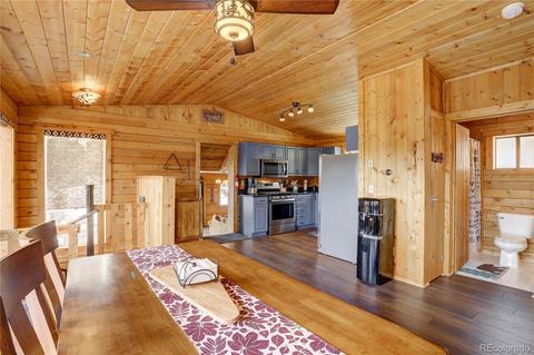 341 Bristlecone Cir, Bailey, CO 80421 photo 34