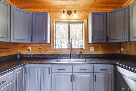 341 Bristlecone Cir, Bailey, CO 80421 photo 5