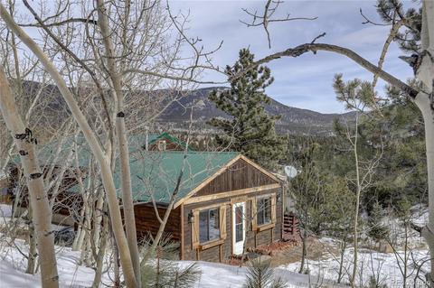 341 Bristlecone Cir, Bailey, CO 80421 photo 10