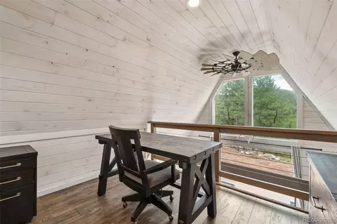 Other - 265 Blue Spruce Dr, Pine, CO 80470 photo 7 of 19