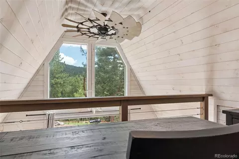 Other - 265 Blue Spruce Dr, Pine, CO 80470 photo 8 of 19