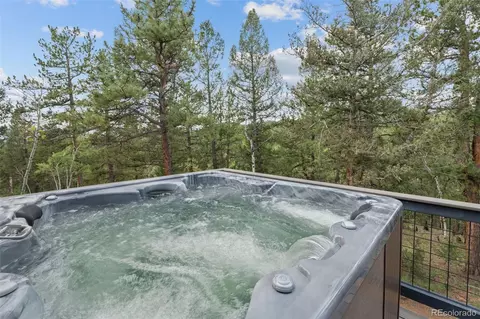 Other - 265 Blue Spruce Dr, Pine, CO 80470 photo 5 of 19