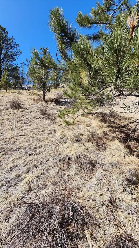267 Ward St, Bailey, CO 80421 photo 12