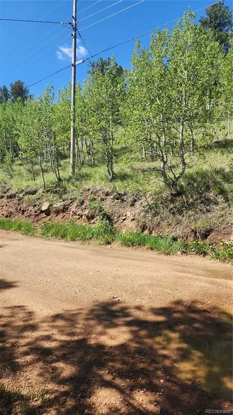 267 Ward St, Bailey, CO 80421 photo 6