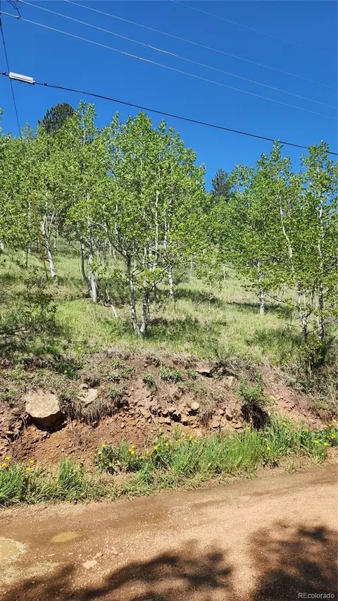 267 Ward St, Bailey, CO 80421 photo 7