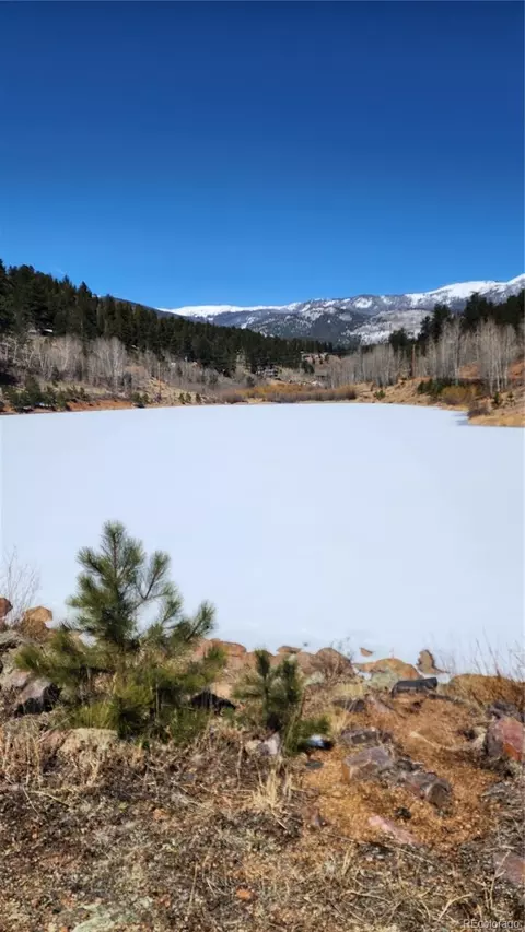 267 Ward St, Bailey, CO 80421 photo 8