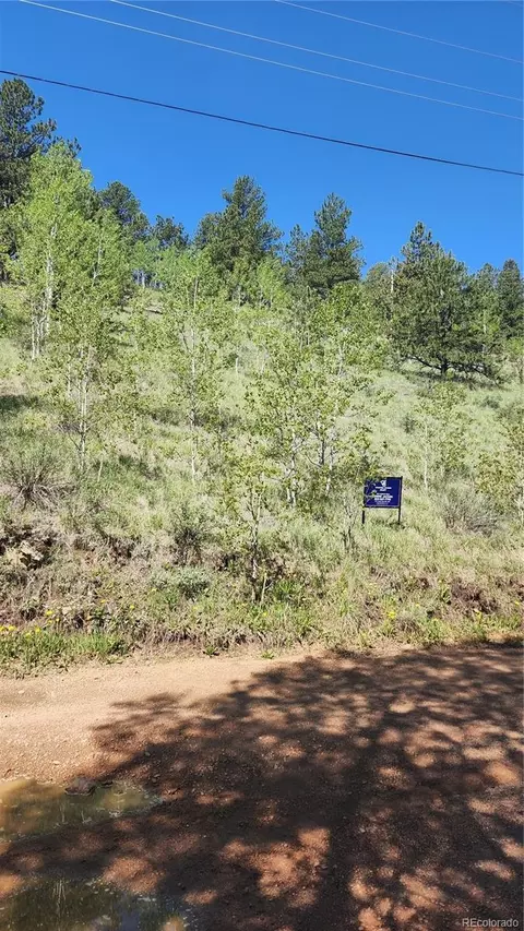 267 Ward St, Bailey, CO 80421 photo 5