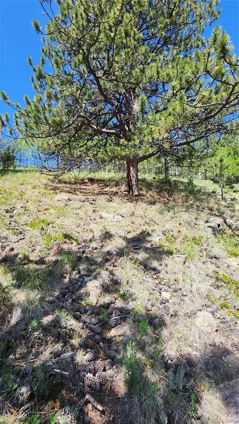 267 Ward St, Bailey, CO 80421 photo 2