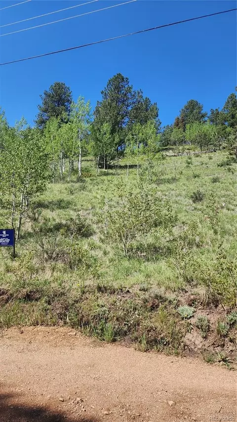 267 Ward St, Bailey, CO 80421