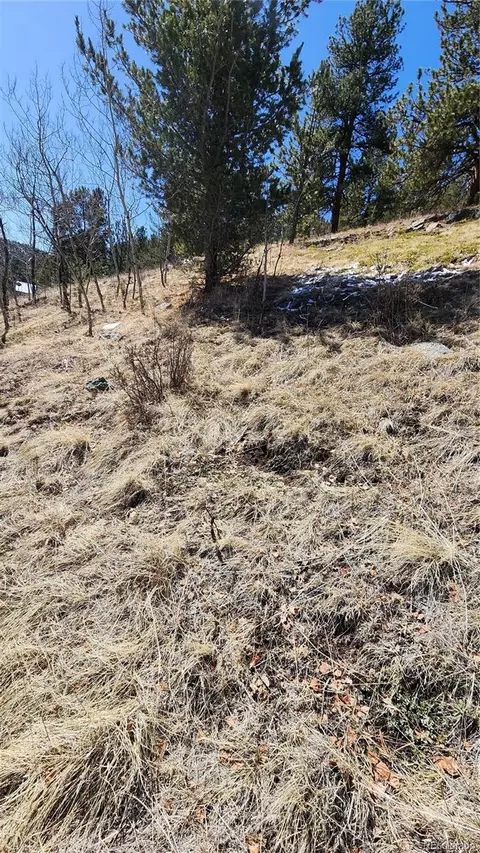 267 Ward St, Bailey, CO 80421 photo 4