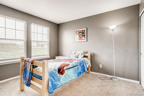 7752 E 131st Pl, Thornton, CO 80602 photo 20