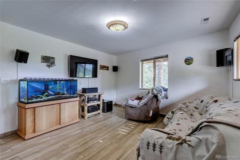 314 S Random Rd, Bailey, CO 80421 photo 31