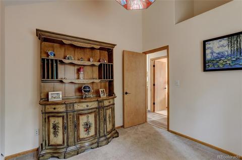 314 S Random Rd, Bailey, CO 80421 photo 34