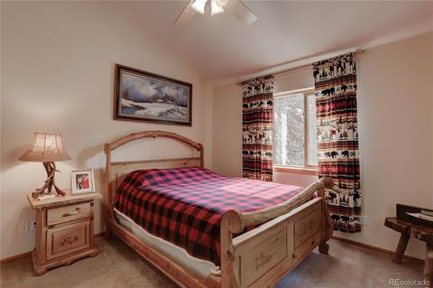 314 S Random Rd, Bailey, CO 80421 photo 23