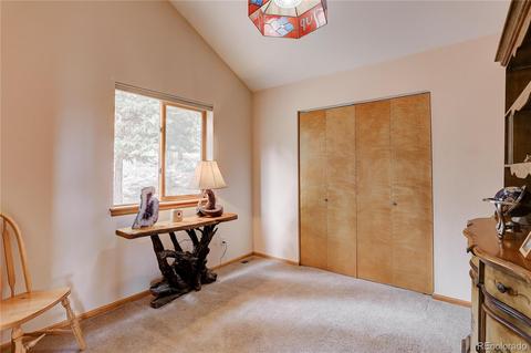 314 S Random Rd, Bailey, CO 80421 photo 35