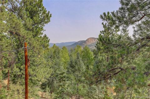 314 S Random Rd, Bailey, CO 80421 photo 8
