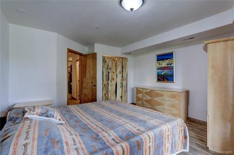 314 S Random Rd, Bailey, CO 80421 photo 28