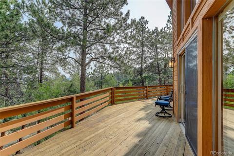 314 S Random Rd, Bailey, CO 80421 photo 11