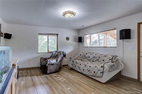 314 S Random Rd, Bailey, CO 80421 photo 32