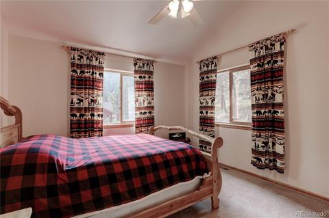 314 S Random Rd, Bailey, CO 80421 photo 22