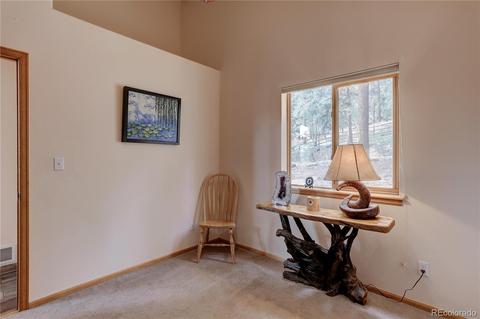 314 S Random Rd, Bailey, CO 80421 photo 33