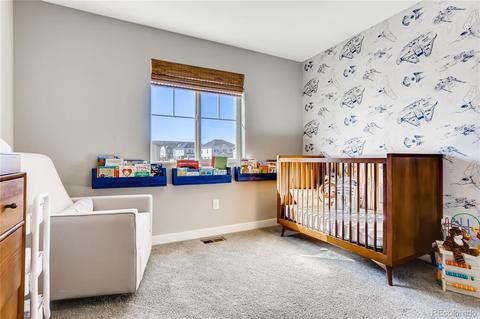 23171 E Jamison Dr, Aurora, CO 80016 photo 22