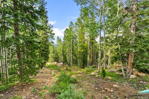 10318 Christopher Dr, Conifer, CO 80433 photo 35