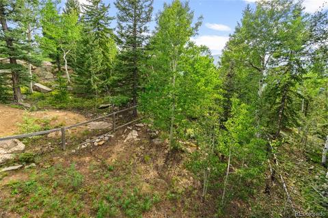 10318 Christopher Dr, Conifer, CO 80433 photo 36