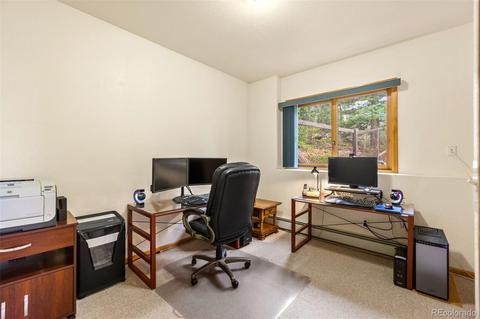 10318 Christopher Dr, Conifer, CO 80433 photo 27