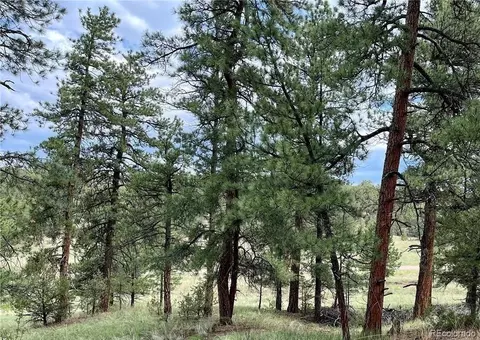 000 18th Trl, Cotopaxi, CO 81223