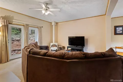 Living - 129 Kestrel Ct, Divide, CO 80814 photo 1 of 3