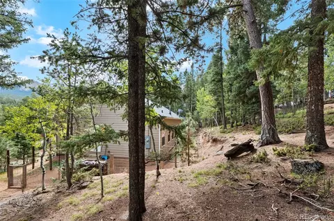 Exterior - 129 Kestrel Ct, Divide, CO 80814 photo 15 of 17