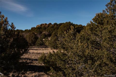 270 Wild Bill Blvd, Westcliffe, CO 81252 photo 6