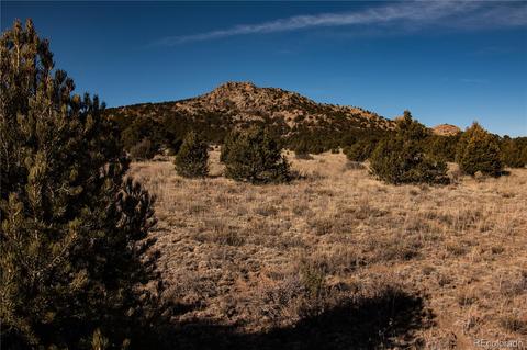 270 Wild Bill Blvd, Westcliffe, CO 81252 photo 9