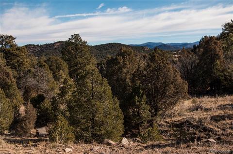 270 Wild Bill Blvd, Westcliffe, CO 81252 photo 4