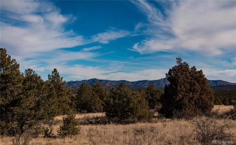 270 Wild Bill Blvd, Westcliffe, CO 81252 photo 7
