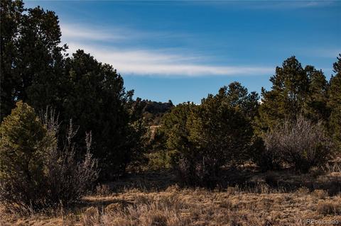 270 Wild Bill Blvd, Westcliffe, CO 81252 photo 3