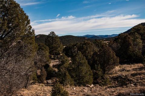 270 Wild Bill Blvd, Westcliffe, CO 81252 photo 8