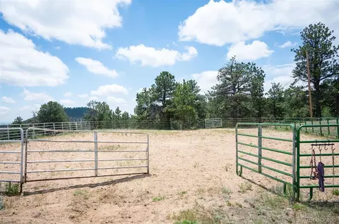 Other - 13991 Jubilee Trl, Pine, CO 80470 photo 18 of 20