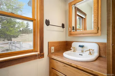 Bath - 13991 Jubilee Trl, Pine, CO 80470 photo 5 of 5