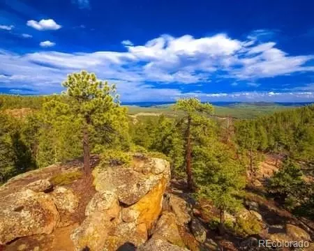 0 Tallberg Ln, Conifer, CO 80433