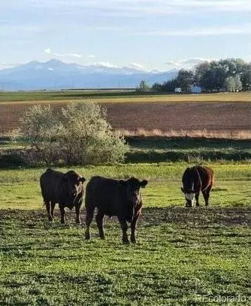 0 County Road 76 12, Windsor, CO 80550 photo 9