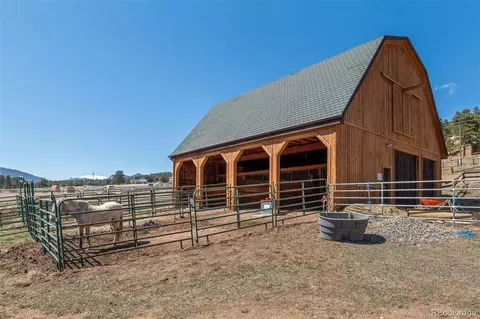 1740 County Road 72, Bailey, CO 80421 photo 3